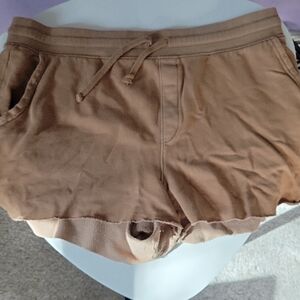 Aerie Tan Shorts